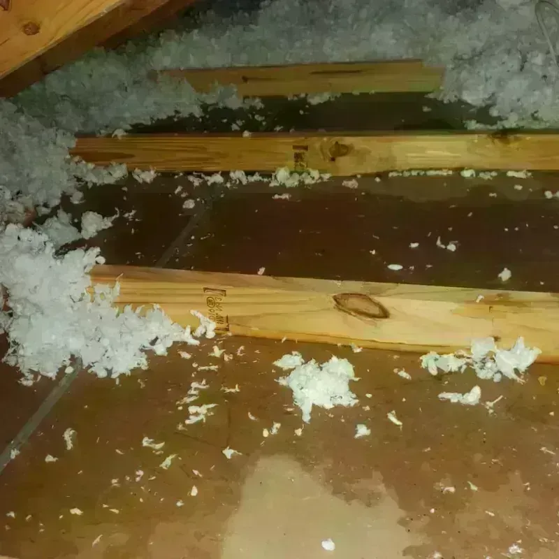 Attic Water Damage in Charleston, SC