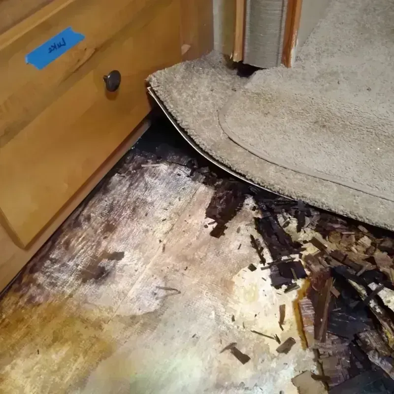 Best Wood Floor Water Damage Service in Charleston, SC